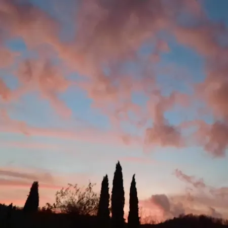 Al Piccolo Ulivo, A Casa Di Mimo&se 度假居 *