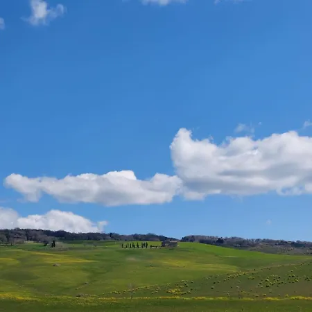 Al Piccolo Ulivo, A Casa Di Mimo&se Castiglione dʼOrcia