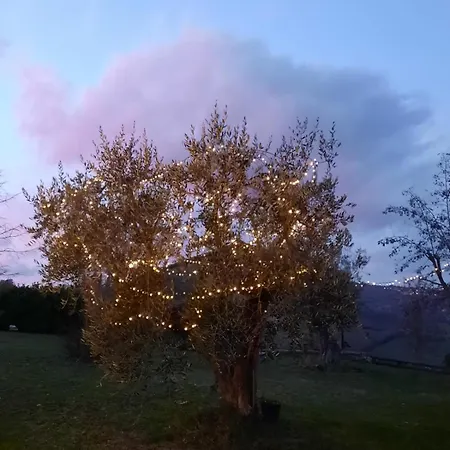 Al Piccolo Ulivo, A Casa Di Mimo&se Dom wakacyjny Castiglione dʼOrcia
