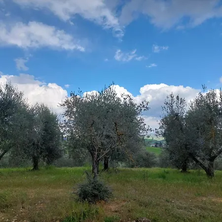 Al Piccolo Ulivo, A Casa Di Mimo&se Dom wakacyjny *