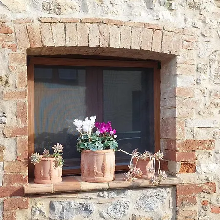 Al Piccolo Ulivo, A Casa Di Mimo&se 度假居 *