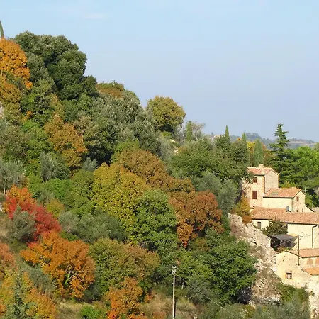 Al Piccolo Ulivo, A Casa Di Mimo&se